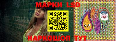 стаф Кандалакша