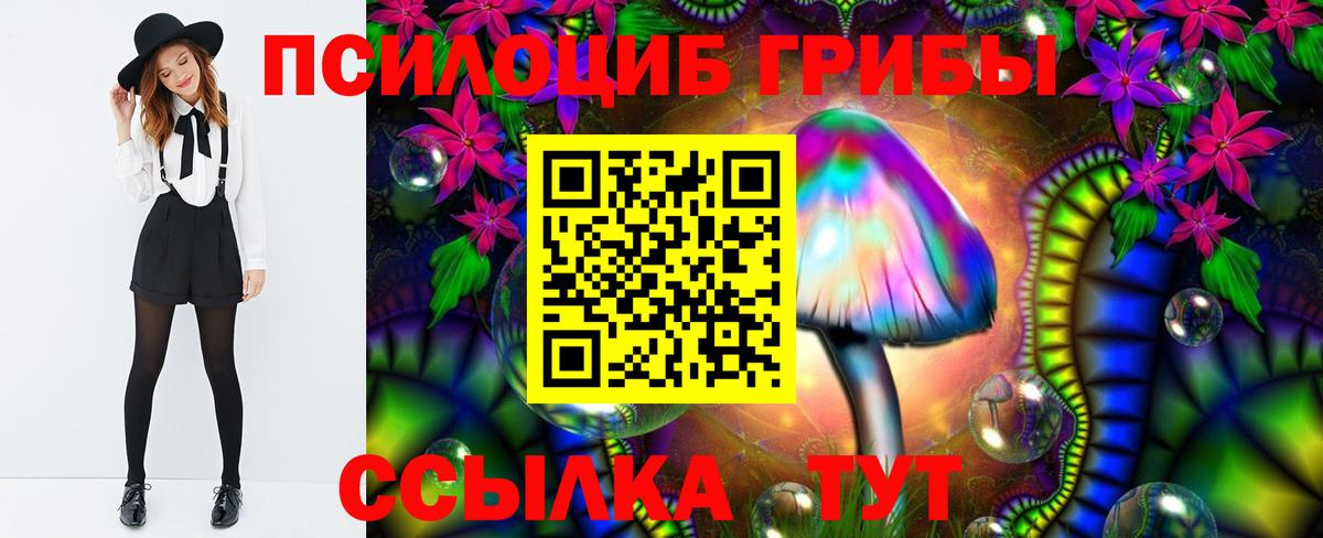 Галлюциногенные грибы Magic Shrooms  Вход с VPN  Кострома 