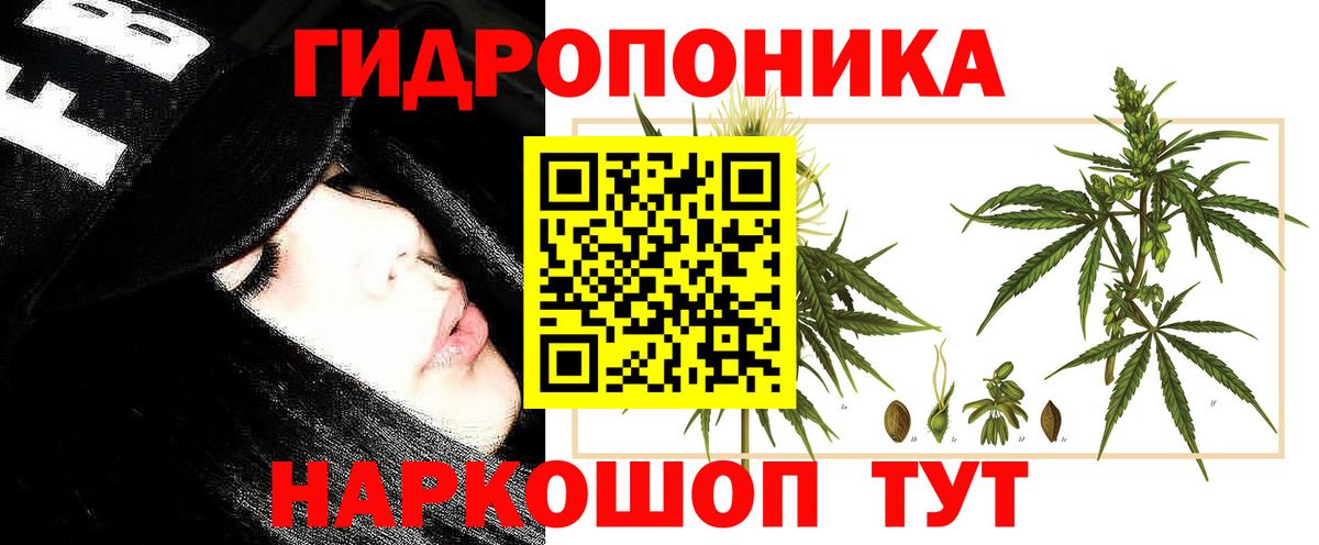 МАРИХУАНА семена  МАРИХУАНА марихуана  Кострома  Каннабис SATIVA & INDICA  Вход с VPN  Канабис VHQ 